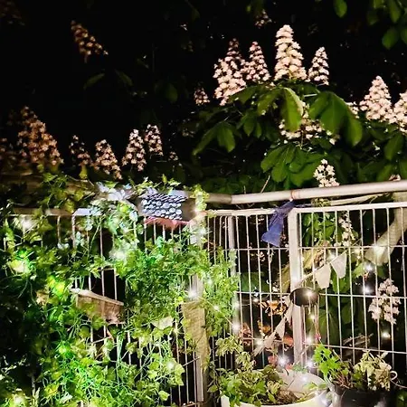 W, 300m Od Rynku, 700 M Od Dworca Pkp, Sinus 公寓 *