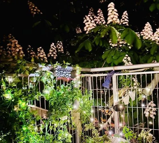 W, 300m Od Rynku, 700 M Od Dworca Pkp, Sinus Apartament *